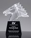 Picture of Crystal Mustang Award