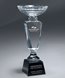 Picture of Premier Crystal Trophy Cups