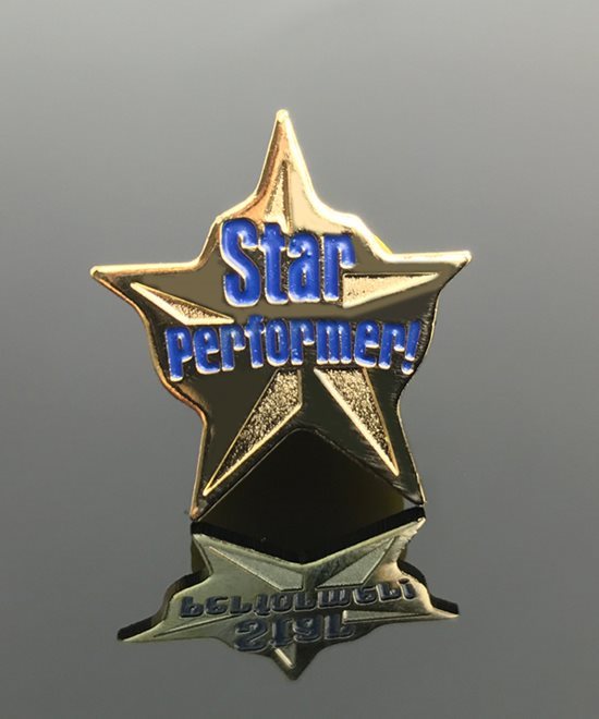 Recognition Pin Star Performer