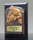 Picture of Greystone Wrestling Award Plaque