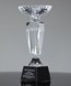 Picture of Premier Crystal Trophy Cups