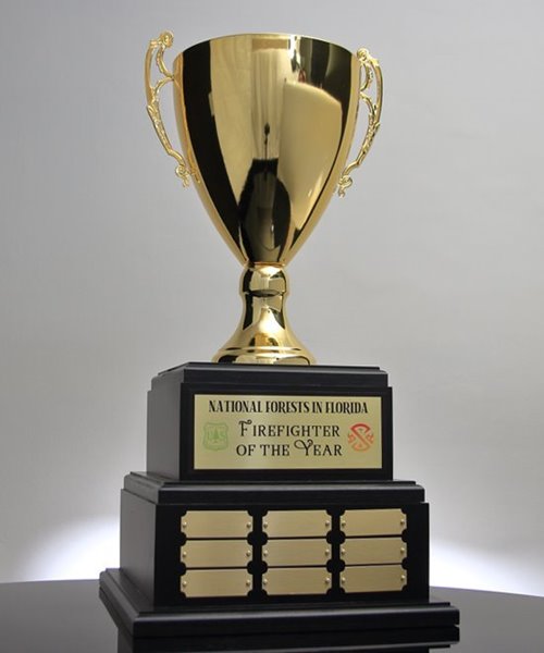 Perpetual Trophies  Master Bowl With Stem Perpetual Trophy