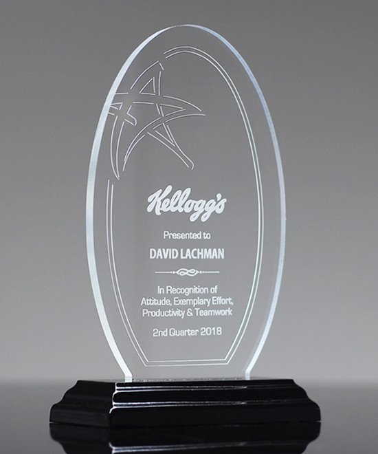 Vector Star Acrylic Award