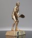 Picture of Tennis Court Master Trophy - Male