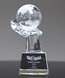 Picture of Crystal Globe on Hand Trophy - Engraved Base