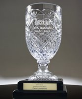 Picture of Medallion Footed Crystal Trophy Vase on Base