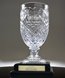 Picture of Medallion Footed Crystal Trophy Vase on Base