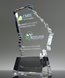 Picture of Custom Crystal State Shaped Award - Georgia