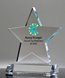 Picture of Excellence Star Award with Full Color Imprint