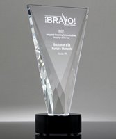 Picture of Crystal Triumph Award