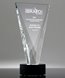 Picture of Crystal Triumph Award