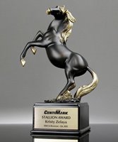 Picture of Stallion Award