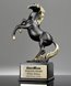 Picture of Stallion Award