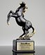 Picture of Stallion Award