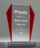 Picture of Newbury Red Starfire Glass Award