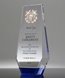 Picture of Distinguished Service Crystal Award