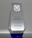 Picture of Distinguished Service Crystal Award