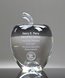 Picture of Crystal Apple Award