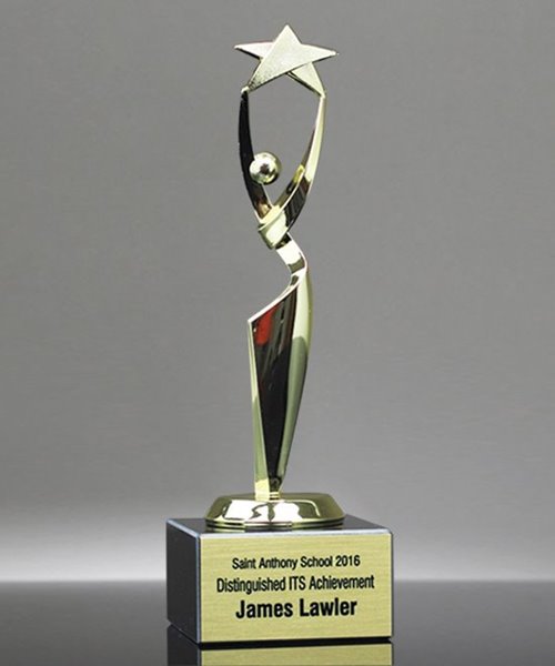 Picture of Reach for the Stars Achievement Award