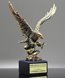 Picture of Foremost Eagle Award