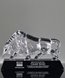 Picture of Crystal Bull Award