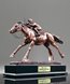 Picture of Race Champion Jockey Award