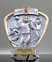 Picture of Silverstone Shield Football Award