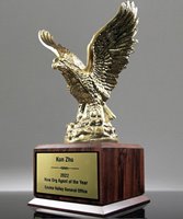 Picture of Eagle in Flight Award