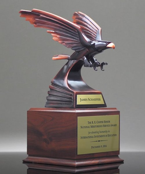 Picture of Eagle Achievement Award