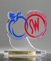 Picture of Logo-Cut Award