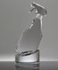 Picture of Crystal Spray Bottle Trophy