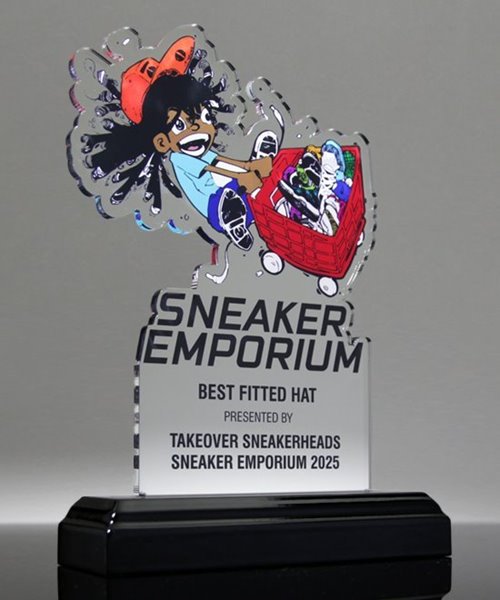 Picture of Custom Acrylic Pop-In Award