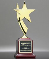 Picture of Rising Star Award