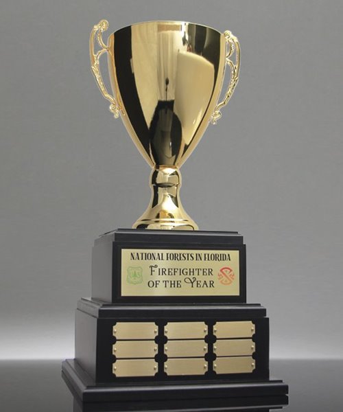 Picture of Masters Perpetual Trophy Cup