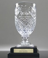 Picture of Medallion Footed Crystal Trophy Vase on Base