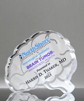 Picture of Custom Brain Paperweight Award