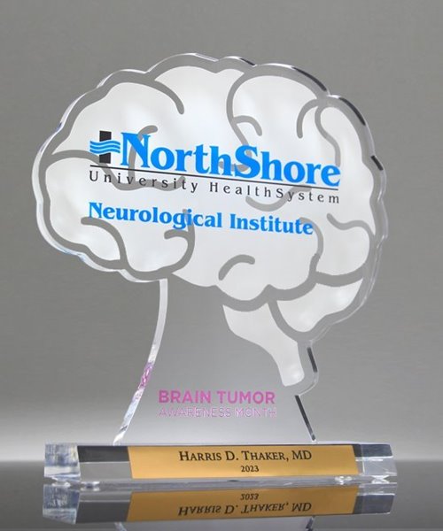 Picture of Acrylic Brain Trophy