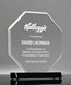 Picture of Beveled Acrylic Octagon Award