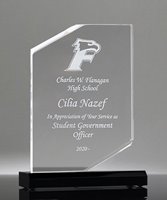 Picture of Clipped Rectangle Acrylic Award