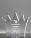 Picture of Acrylic Crown Trophy Paperweight