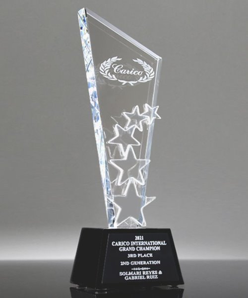 Picture of Custom Star Crystal Award