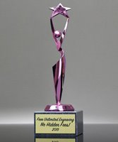 Picture of Reach for the Stars Pink Achievement Trophy