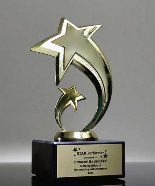 Picture of Star Fusion Award