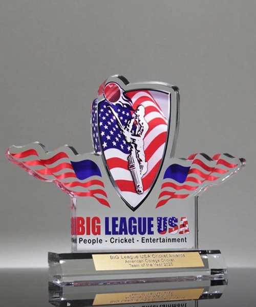 Picture of Logo Cut Cricket Acrylic Award