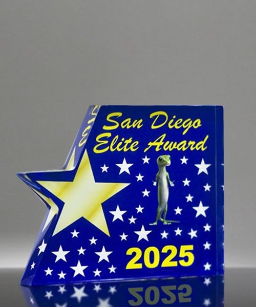 Picture of Acrylic Star Block Paperweight Award