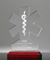 Picture of EMS Top Provider Trophy