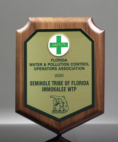 Picture of Safety Award Shield Plaque