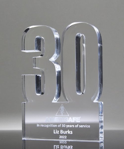 Picture of 30 Year Anniversary Award