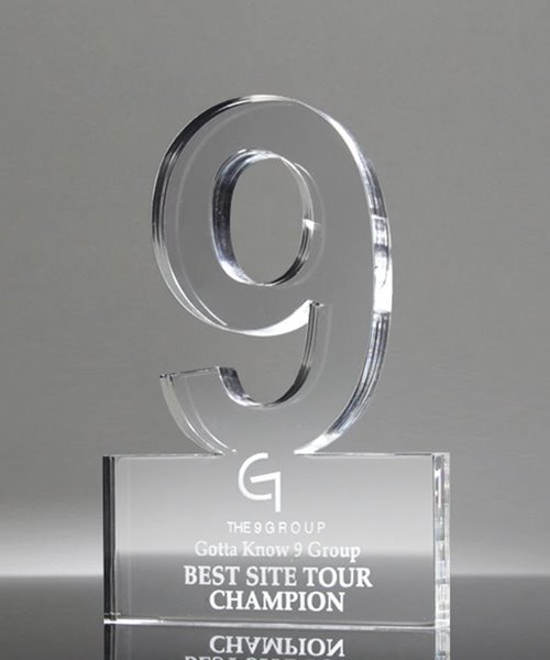 Picture of 9 Year Anniversary Award