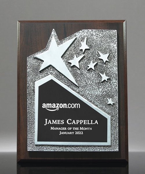 Picture of Recognition Silver Star Plaque